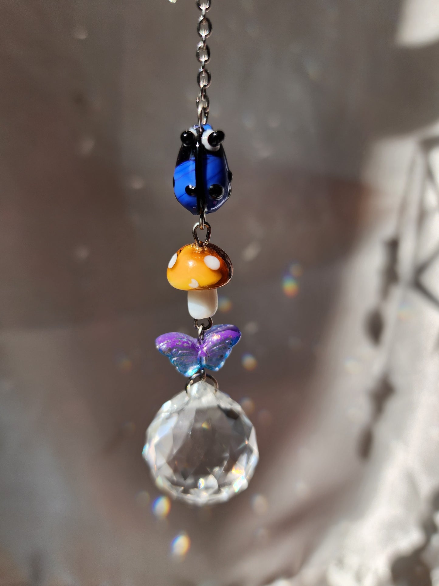 Air Plant Suncatcher Display - Enchanted Blue Gardens