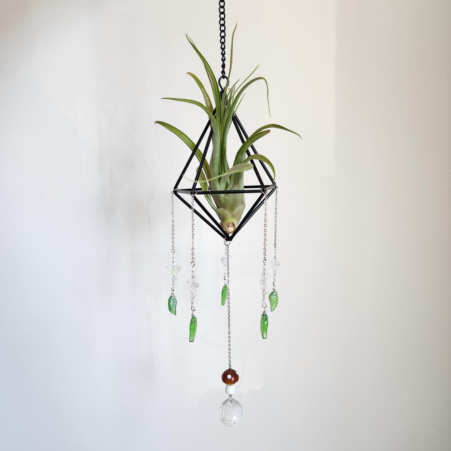 Air Plant Suncatcher Display - Forest Fairy