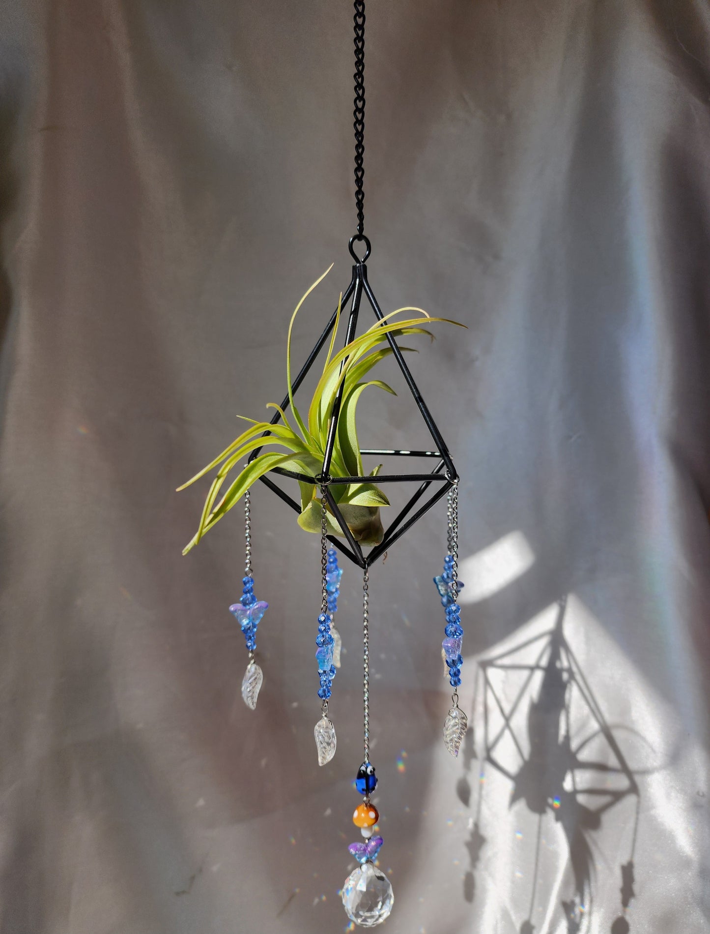 Air Plant Suncatcher Display - Enchanted Blue Gardens