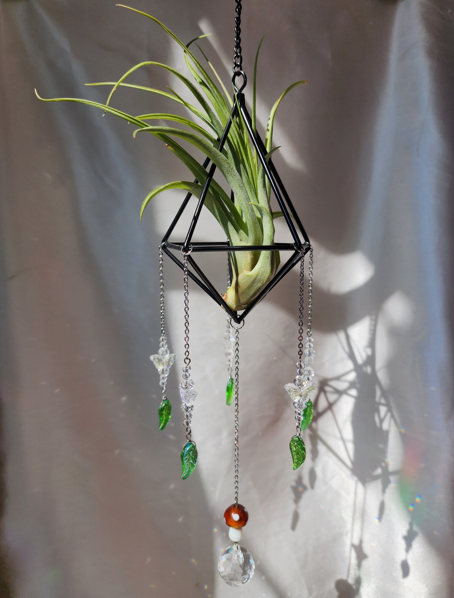 Air Plant Suncatcher Display - Forest Fairy