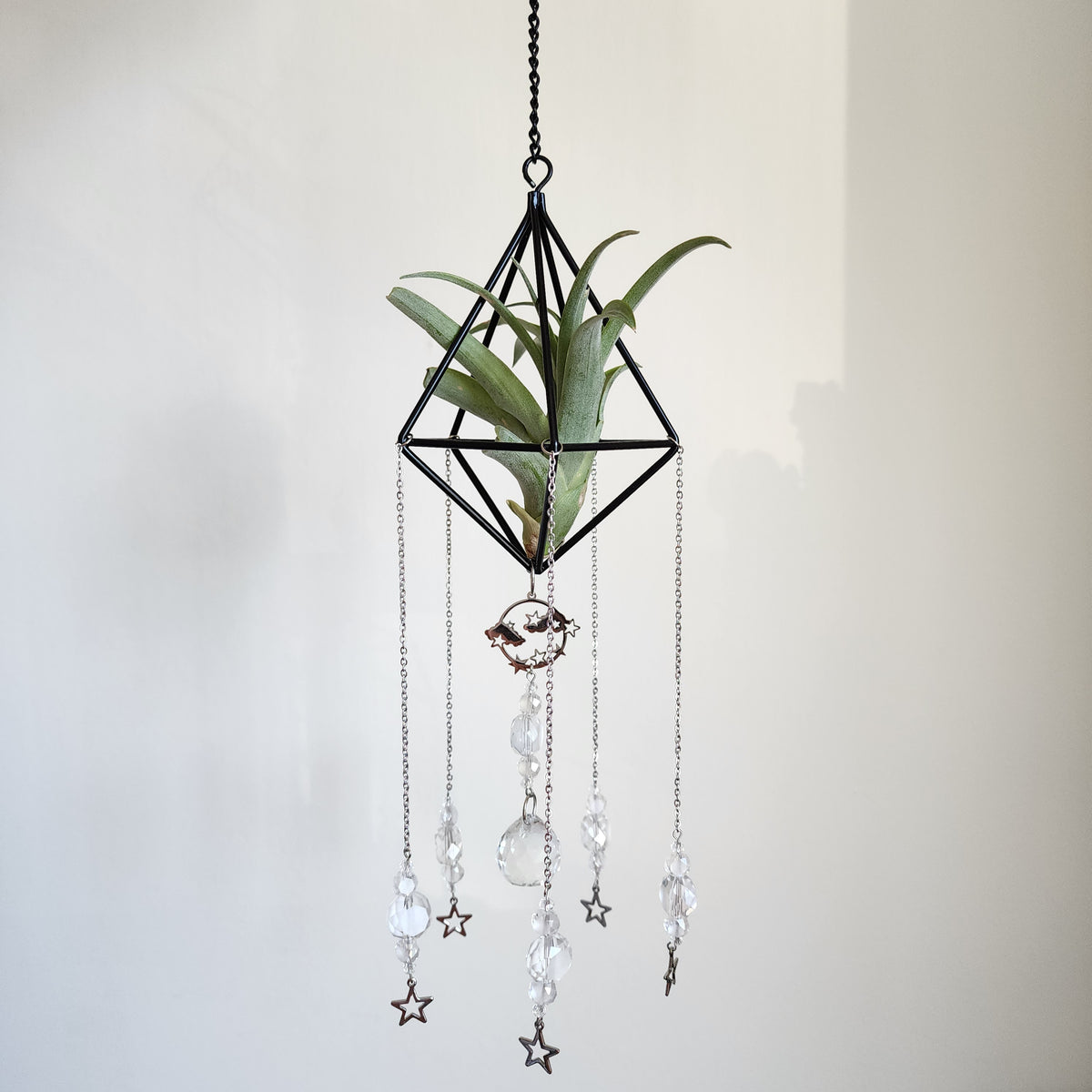 Air Plant Suncatcher Display - Cloudy Skies