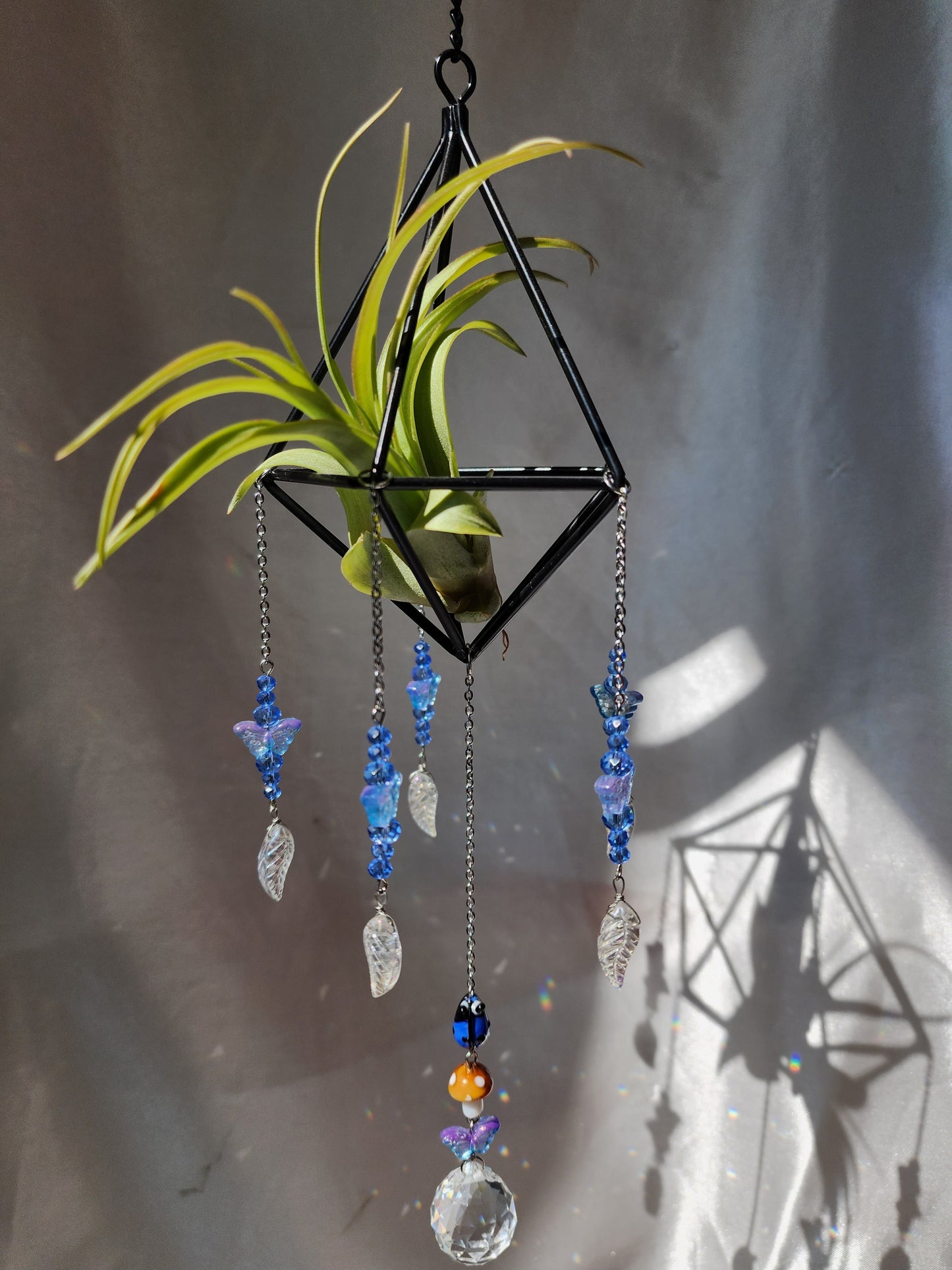 Air Plant Suncatcher Display - Enchanted Blue Gardens