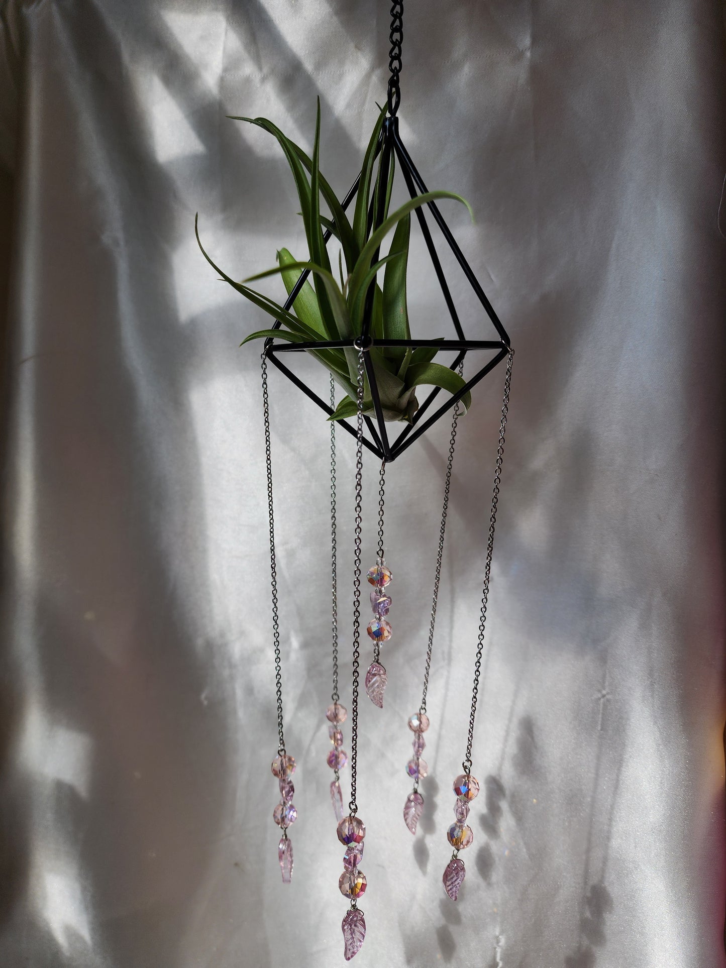 Air Plant Suncatcher Display - Pretty in Pink
