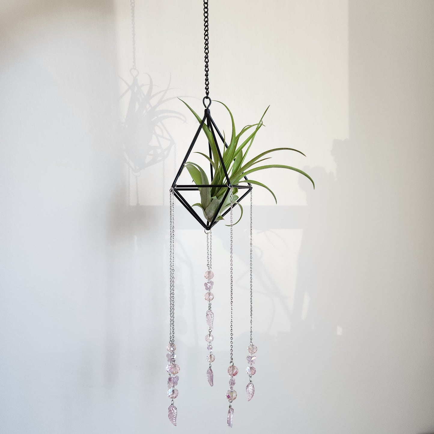 Air Plant Suncatcher Display - Pretty in Pink